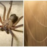 5 saker du kan göra för att bli av med